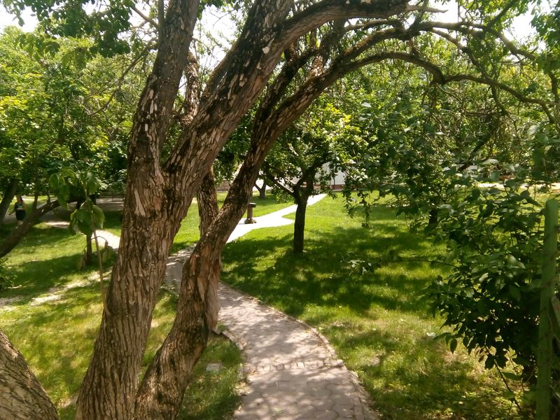 Park gyümölcsfákkal